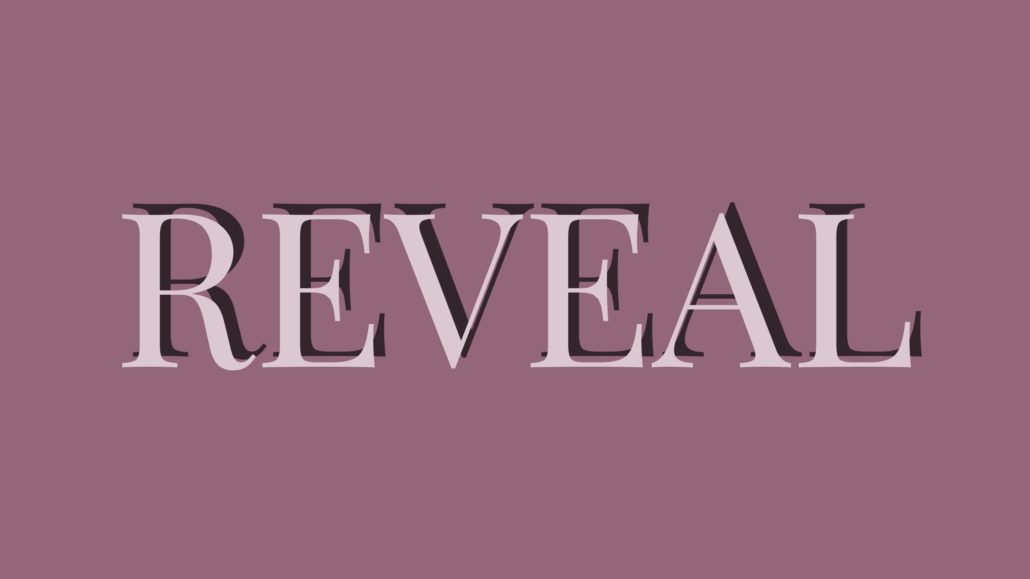 mellBella Big Reveal