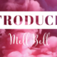 Introducing Mell Bell