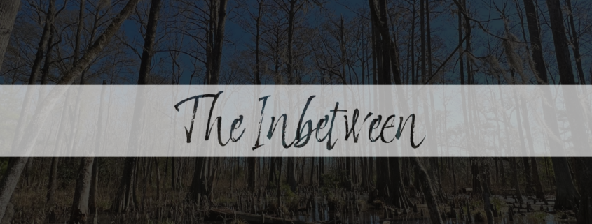 the inbetween header